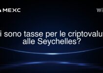 Ci sono tasse per le criptovalute alle Seychelles?