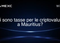 Ci sono tasse per le criptovalute a Mauritius?