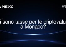 Ci sono tasse per le criptovalute a Monaco?