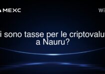 Ci sono tasse per le criptovalute a Nauru?