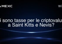 Ci sono tasse per le criptovalute a Saint Kitts e Nevis?