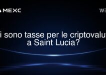 Ci sono tasse per le criptovalute a Saint Lucia?