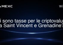 Ci sono tasse per le criptovalute a Saint Vincent e Grenadine?