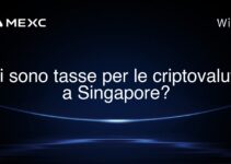 Ci sono tasse per le criptovalute a Singapore?