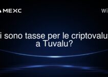 Ci sono tasse per le criptovalute a Tuvalu?