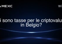 Ci sono tasse per le criptovalute in Belgio?