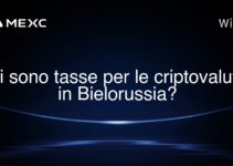 Ci sono tasse per le criptovalute in Bielorussia?