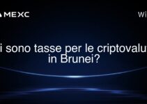 Ci sono tasse per le criptovalute in Brunei?