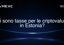 Ci sono tasse per le criptovalute in Estonia?
