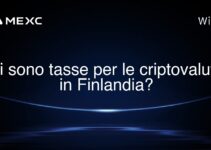 Ci sono tasse per le criptovalute in Finlandia?
