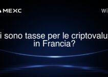 Ci sono tasse per le criptovalute in Francia?