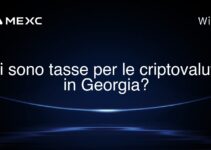 Ci sono tasse per le criptovalute in Georgia?