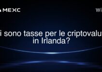 Ci sono tasse per le criptovalute in Irlanda?