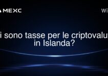 Ci sono tasse per le criptovalute in Islanda?