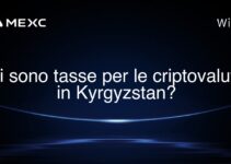 Ci sono tasse per le criptovalute in Kyrgyzstan?
