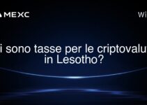 Ci sono tasse per le criptovalute in Lesotho?