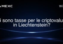 Ci sono tasse per le criptovalute in Liechtenstein?