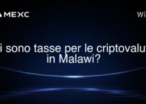 Ci sono tasse per le criptovalute in Malawi?