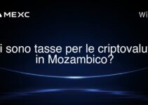 Ci sono tasse per le criptovalute in Mozambico?