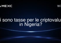Ci sono tasse per le criptovalute in Nigeria?