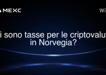 Ci sono tasse per le criptovalute in Norvegia?