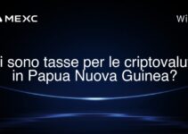 Ci sono tasse per le criptovalute in Papua Nuova Guinea?