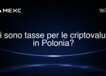 Ci sono tasse per le criptovalute in Polonia?