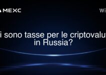 Ci sono tasse per le criptovalute in Russia?