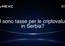 Ci sono tasse per le criptovalute in Serbia?