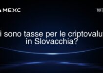 Ci sono tasse per le criptovalute in Slovacchia?