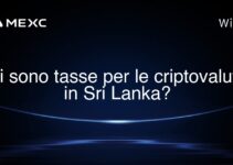 Ci sono tasse per le criptovalute in Sri Lanka?