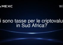 Ci sono tasse per le criptovalute in Sud Africa?