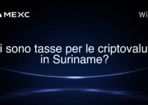 Ci sono tasse per le criptovalute in Suriname?