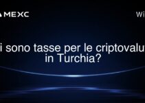 Ci sono tasse per le criptovalute in Turchia?