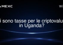 Ci sono tasse per le criptovalute in Uganda?