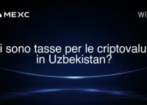 Ci sono tasse per le criptovalute in Uzbekistan?