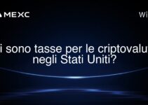 Ci sono tasse per le criptovalute negli Stati Uniti?