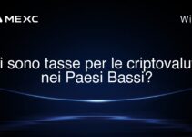 Ci sono tasse per le criptovalute nei Paesi Bassi?