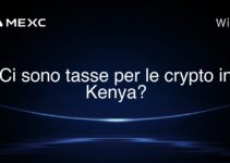 Ci sono tasse per le crypto in Kenya?