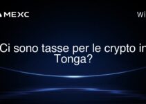 Ci sono tasse per le crypto in Tonga?