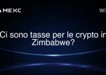 Ci sono tasse per le crypto in Zimbabwe?