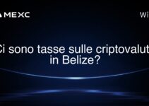 Ci sono tasse sulle criptovalute in Belize?