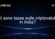 Ci sono tasse sulle criptovalute in India?