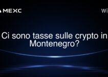 Ci sono tasse sulle crypto in Montenegro?