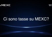 Ci sono tasse su MEXC?