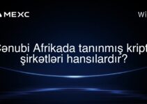 Cənubi Afrikada tanınmış kripto şirkətləri hansılardır?