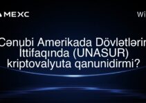 Cənubi Amerikada Dövlətlərin İttifaqında (UNASUR) kriptovalyuta qanunidirmi?
