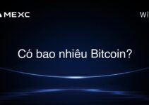 Có bao nhiêu Bitcoin?