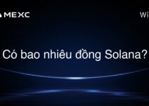 Có bao nhiêu đồng Solana?