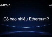 Có bao nhiêu Ethereum?